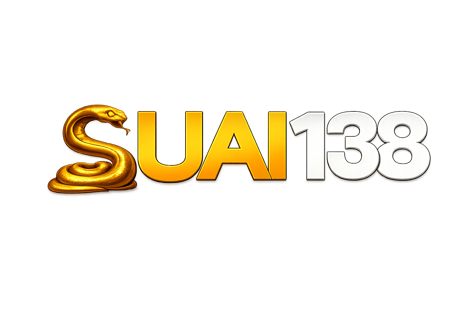 SUAI138